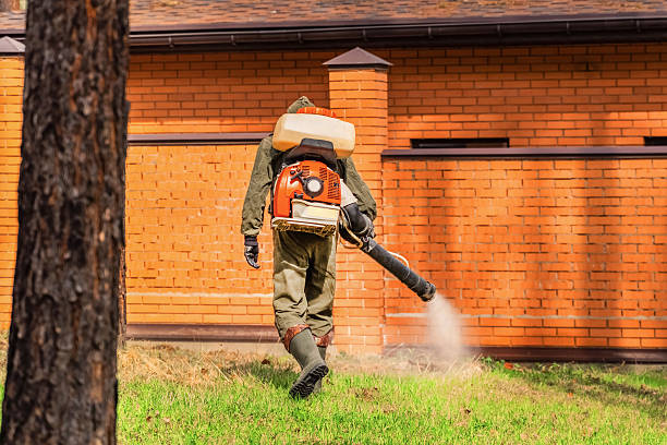Trusted Bed Bug Control service in East Sparta, OH - Nex Pest Control